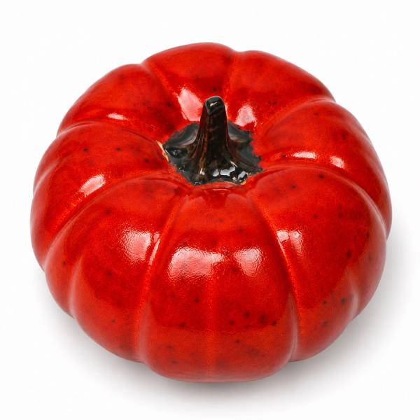 Deko-Kürbis